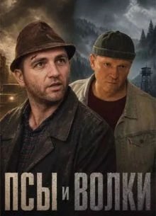 Серия|8|9|10|сезон|первый|волки|лорд|псы|нтв